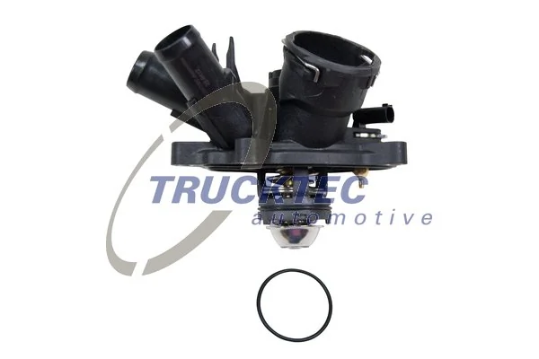 Thermostat, coolant